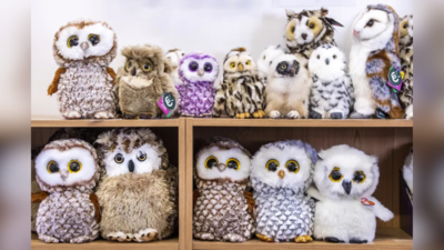 Optical illusion: Only a person with perfect eyesight can spot the real owl in 7 seconds